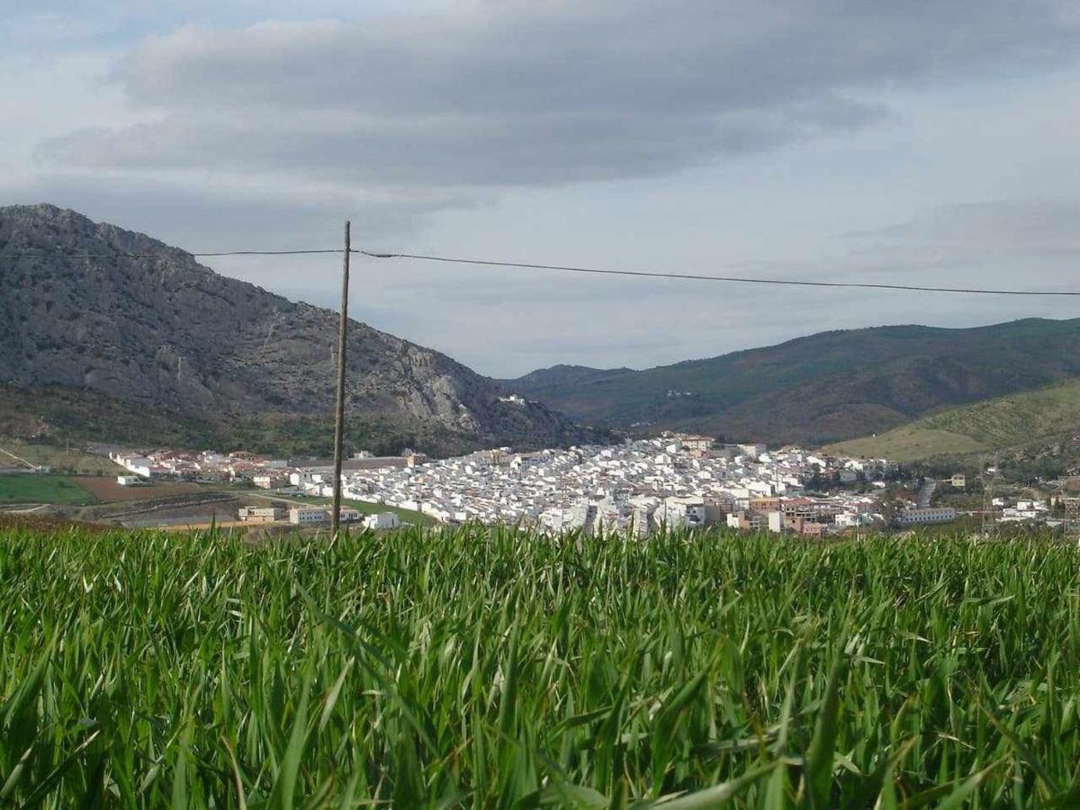 Willa Mirador De La Encina Valle de Abdalagís Zewnętrze zdjęcie